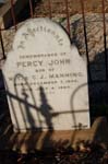 Manning, Percy John 